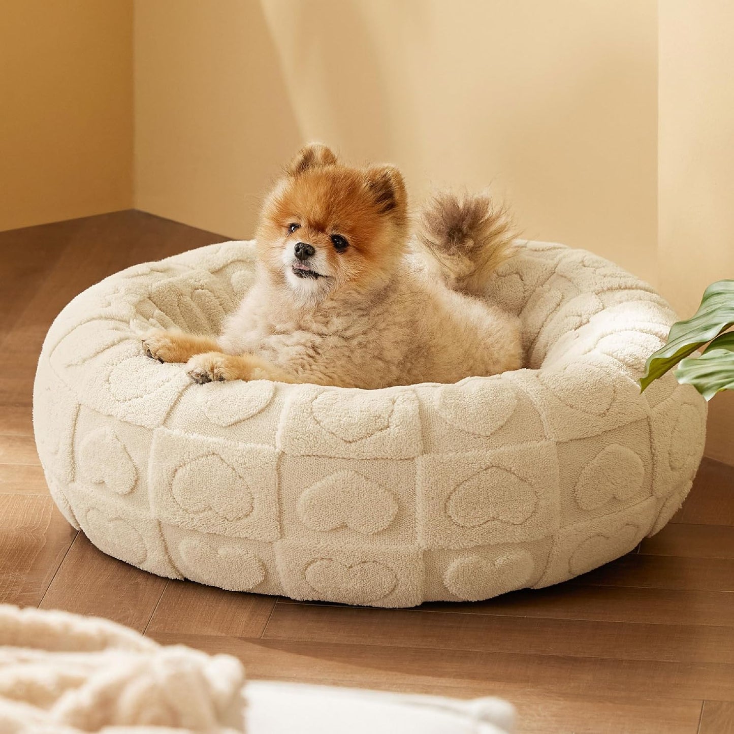 20” Plush Donut Cat Bed with Raised Rim – Soft, Washable Round Pet Bed with Heart Pattern – Ideal for Cats & Small Dogs