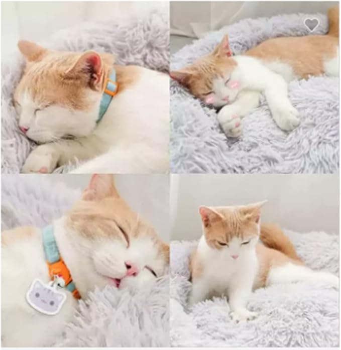 Round Plush Cat Bed | Cozy Donut Pet Bed with Anti-Slip Bottom for Cats & Small Dogs