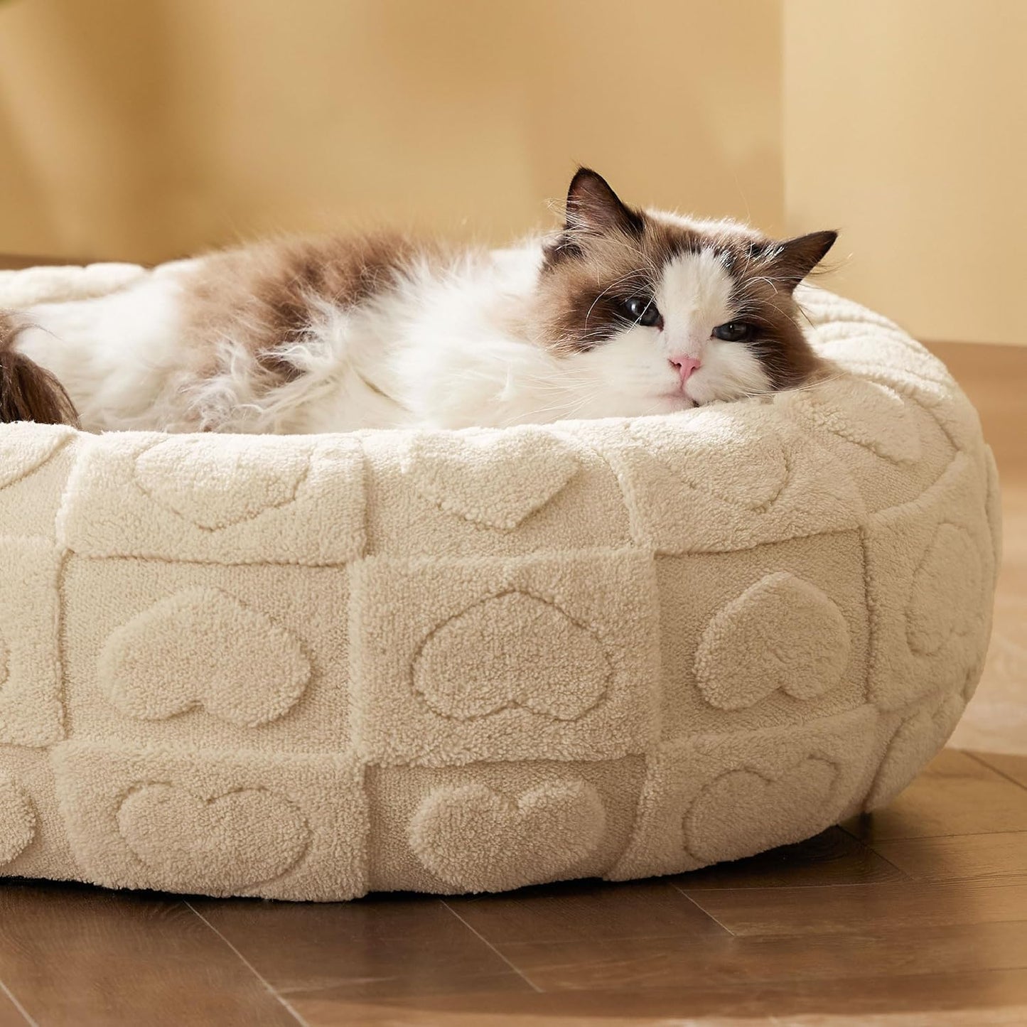 20” Plush Donut Cat Bed with Raised Rim – Soft, Washable Round Pet Bed with Heart Pattern – Ideal for Cats & Small Dogs