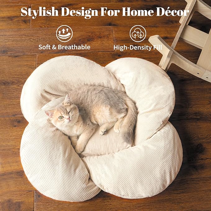 22-Inch Modern Wood Elevated Cat Bed | Soft Washable Cushion | Stylish Pet Lounger with 40 lbs Weight Capacity